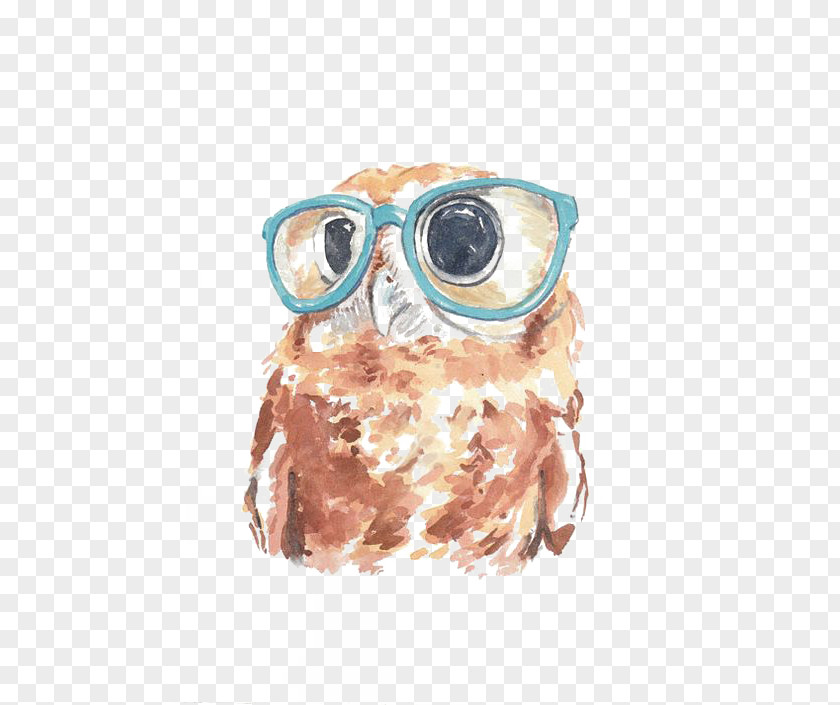 Owl Paper Watercolor Painting PNG