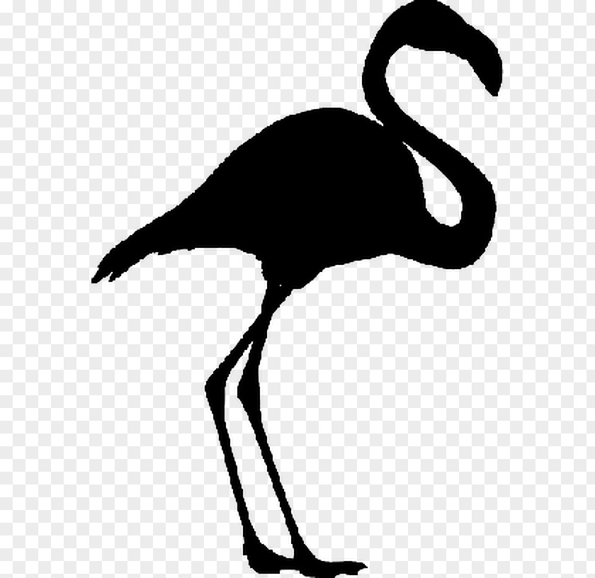 Water Bird Beak Silhouette Goose PNG