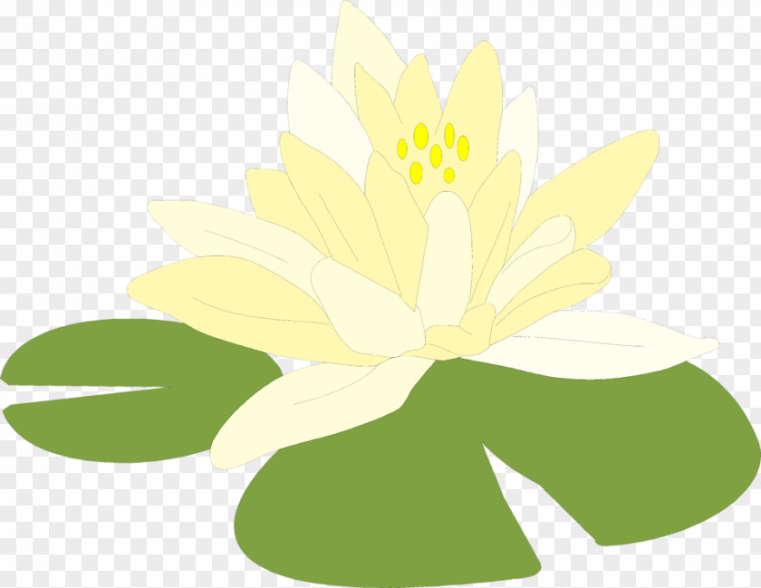 Water Lilies Line Art Drawing Clip PNG