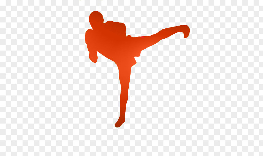 Boxing Sports Association Kickboxing Combat Sport PNG