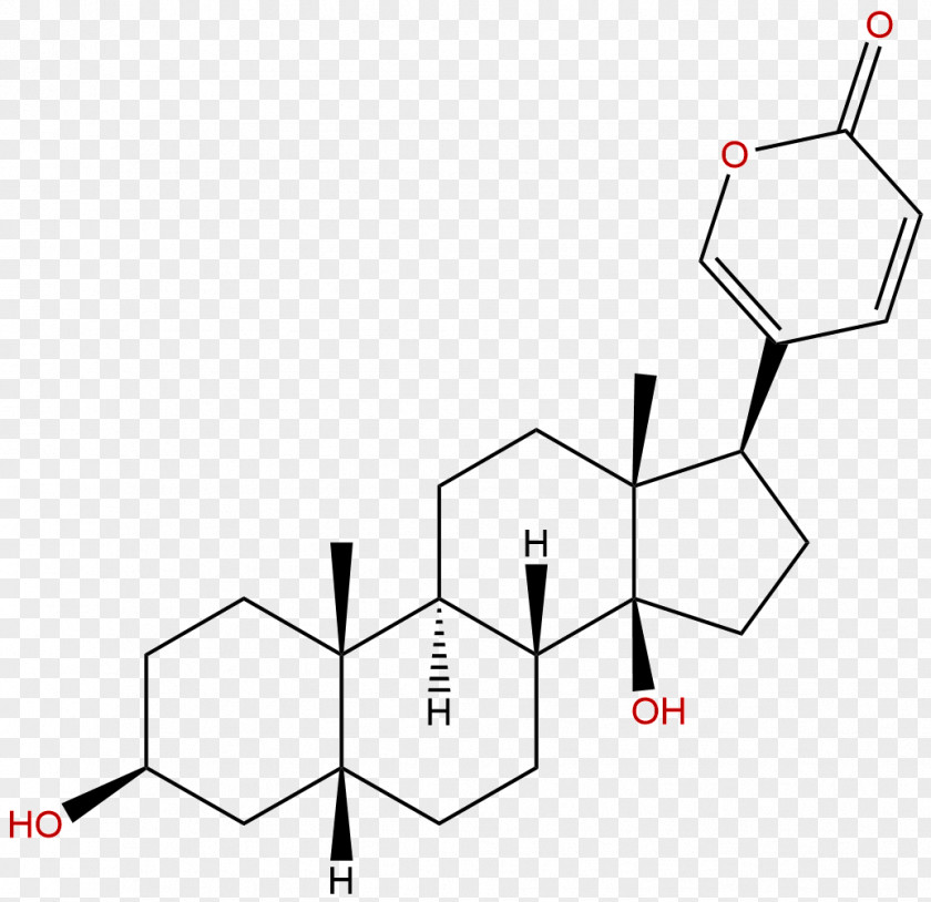 Chengdu Hyodeoxycholic Acid Bile PNG