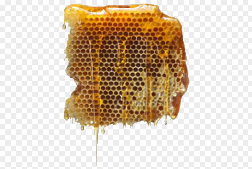 Honey Beehive Beekeeping Apiary PNG