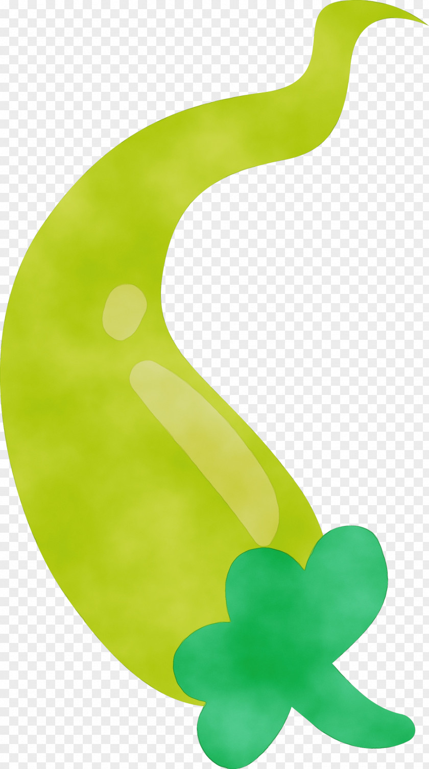 Leaf Green Symbol Plants Biology PNG