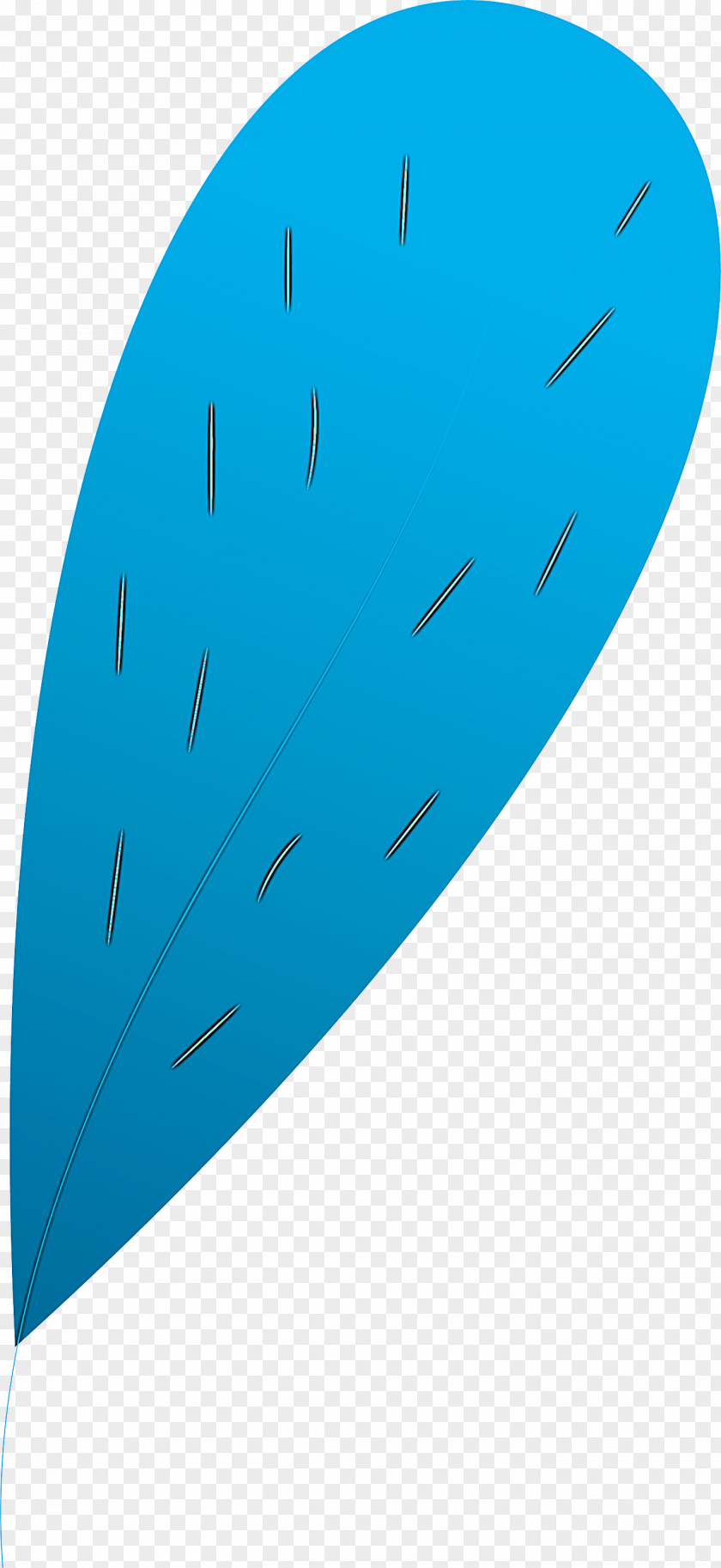 Leaf PNG