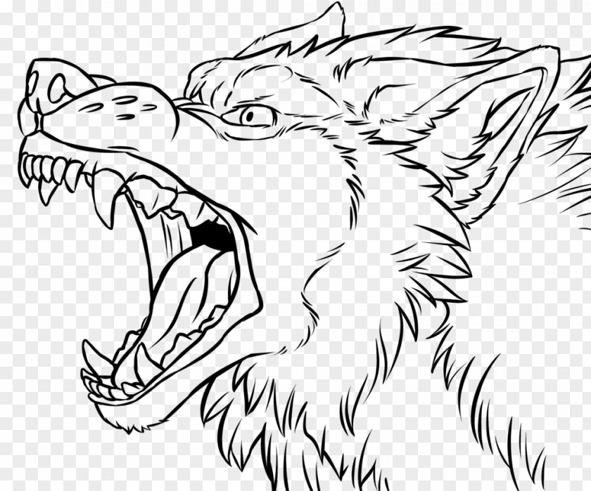 Lineart Line Art Gray Wolf Snarl Drawing Growling PNG