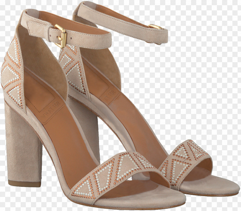 Sandal Court Shoe Footwear High-heeled PNG