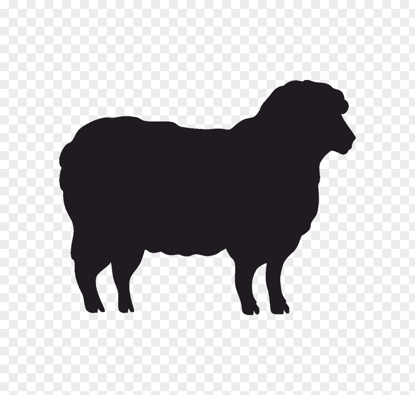 Sheep Stencil Silhouette Goat Cattle PNG