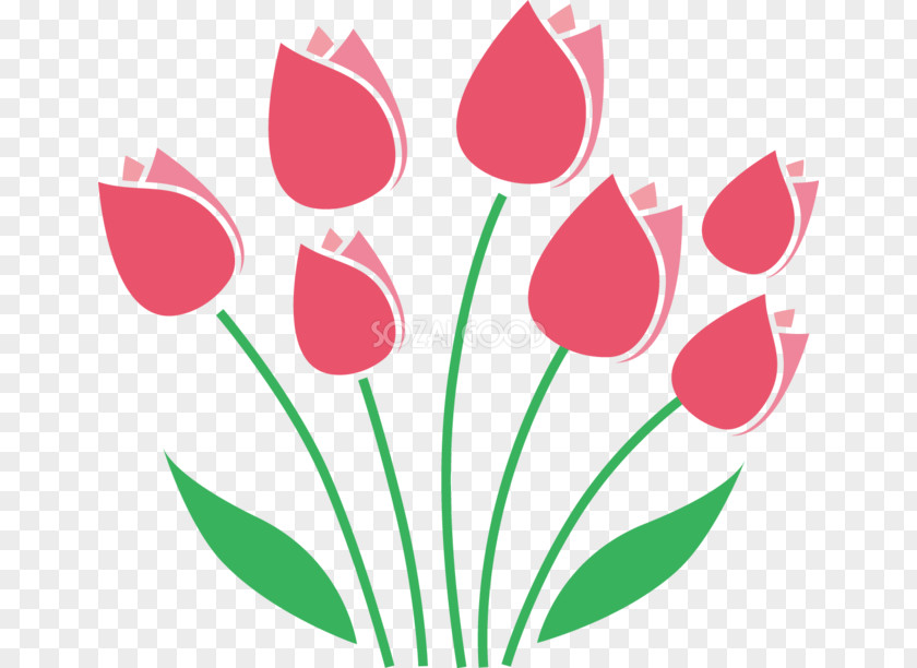 Tulip Floral Design Cut Flowers Stencil PNG