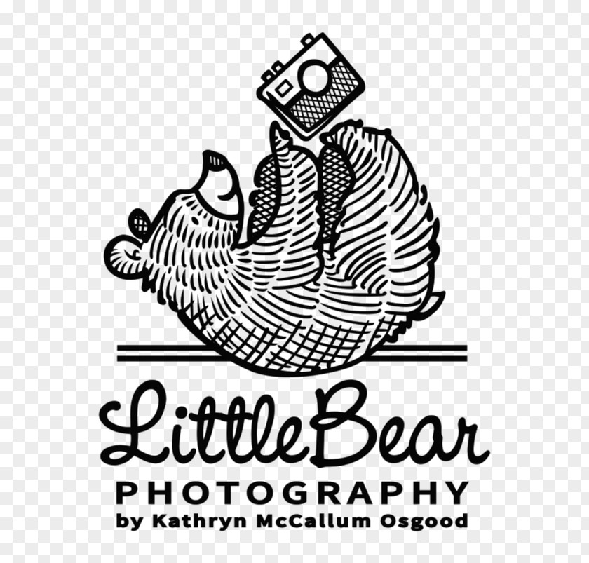 Chicago Bears Logo Visual Arts Mammal Clip Art PNG