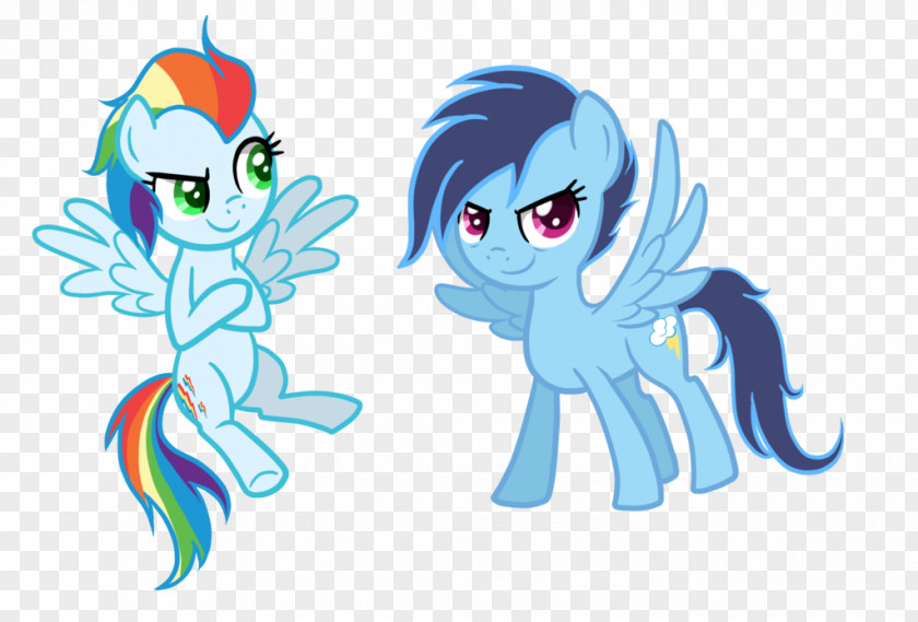 My Little Pony Rainbow Dash Rarity Child PNG