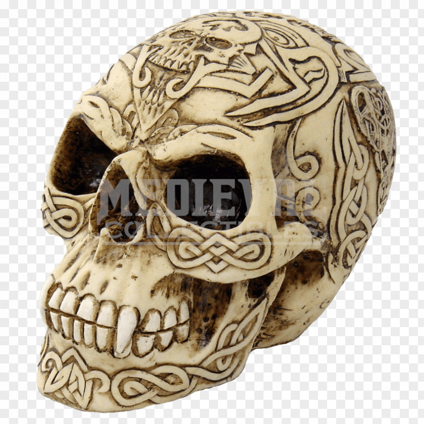 Skull Human Calavera Horn Celts PNG