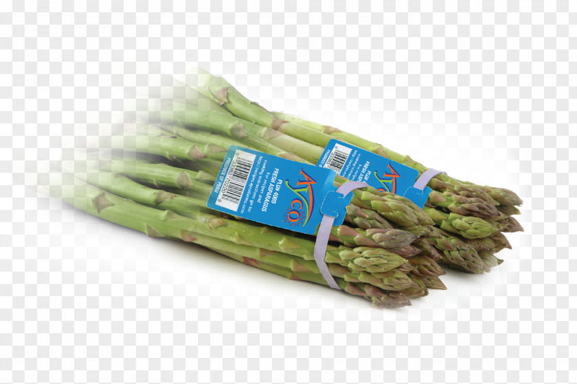 Asparagus Ayco Farms Inc PNG