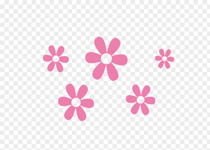 Margarita Drawing Graphics Common Daisy Flower PNG