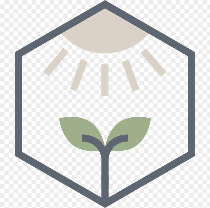 Symbol Leaf Shape PNG