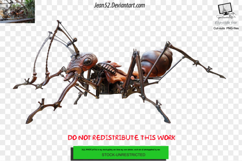 Ant DeviantArt Insect PNG