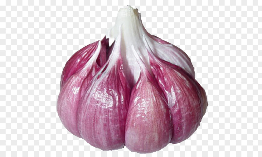 Garlic Shallot Red Onion Bulb Lilies PNG