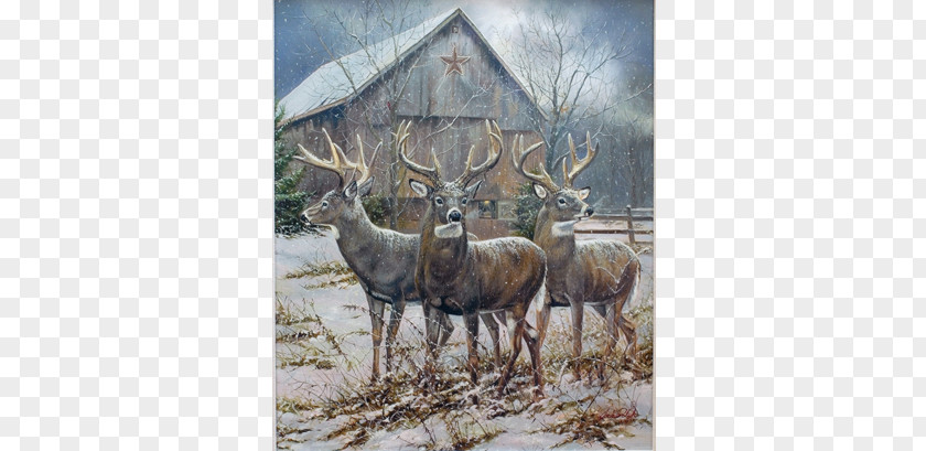 Whitetail Deer Reindeer Art Hunting Elk PNG