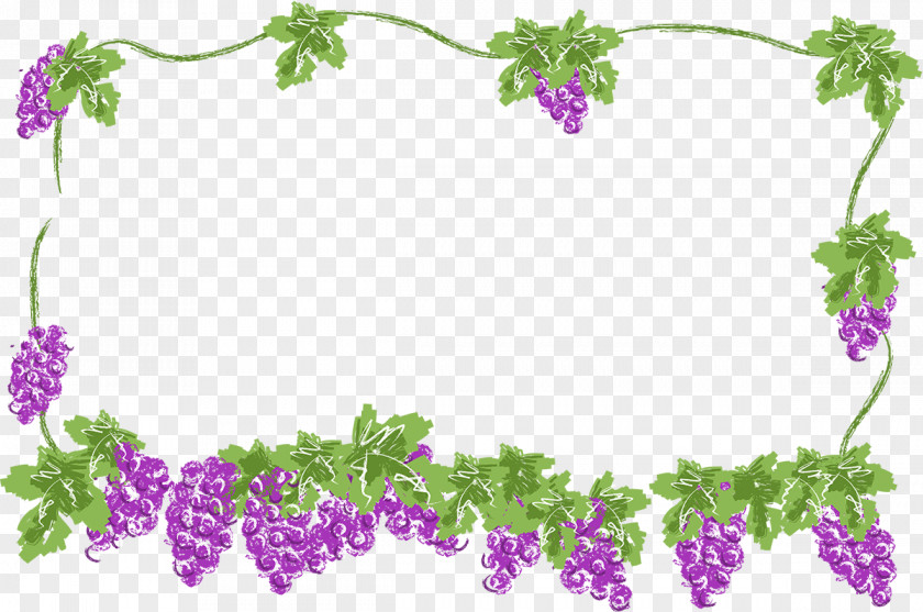 Cabbage Photography Grape Clip Art PNG