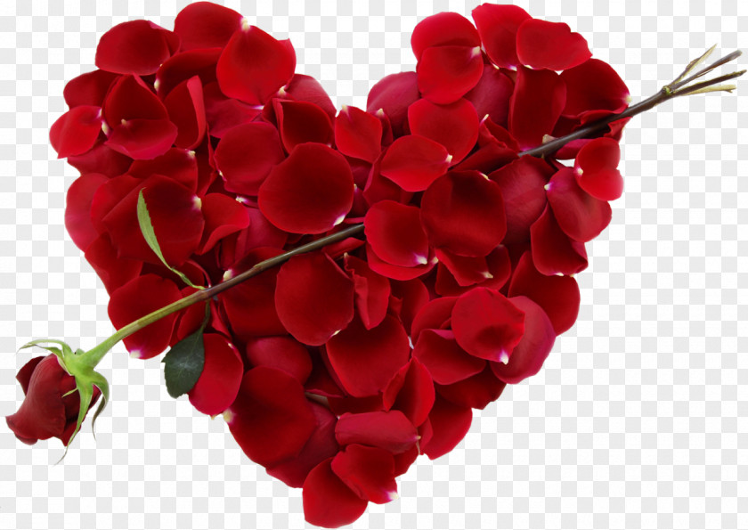 Day Valentine's Flower Heart Floral Design Gift PNG