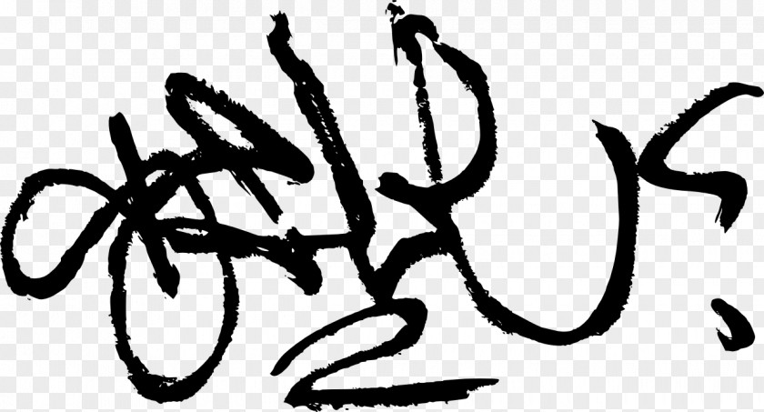 Graffiti Tag Aerosol Paint Calligraphy PNG