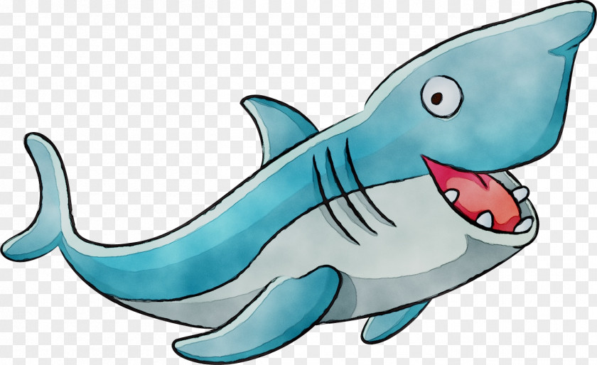 Shark Drawing Clip Art Image PNG