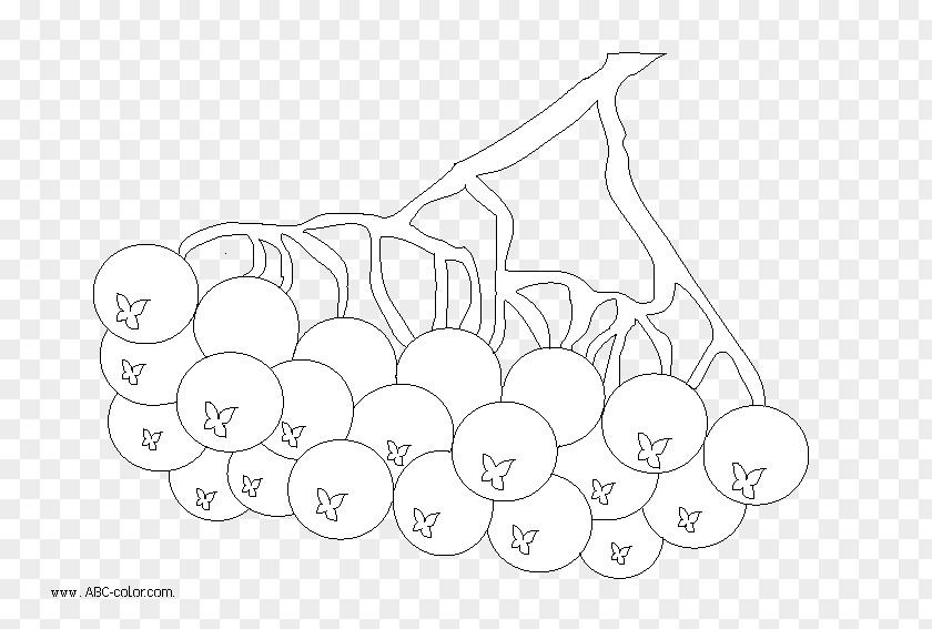 Banyan Vector Line Art White Sketch PNG