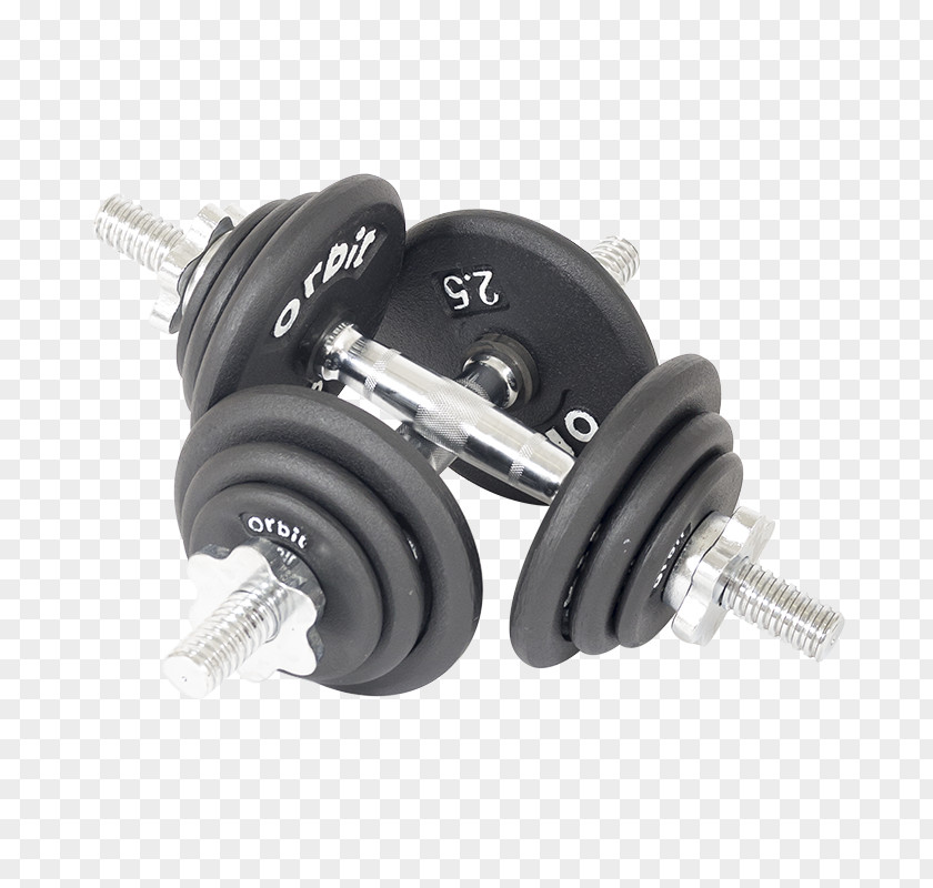 Dumbbells Weights Bench Weight Training Fitness Centre Power Rack Physical PNG