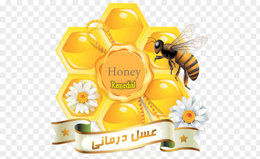 Bee Honey Honeycomb Insect PNG