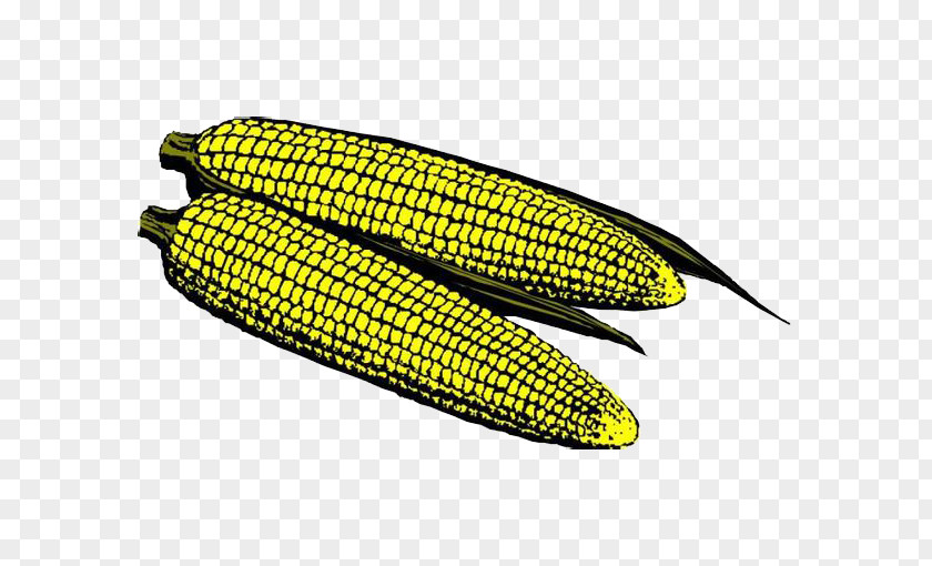 Cartoon Corn On The Cob Maize Comics PNG