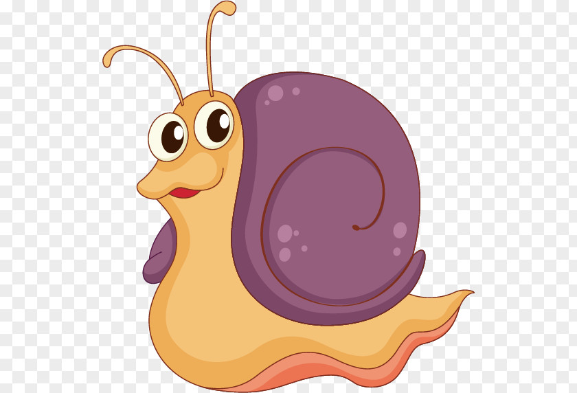 Cartoon Insect Material PNG