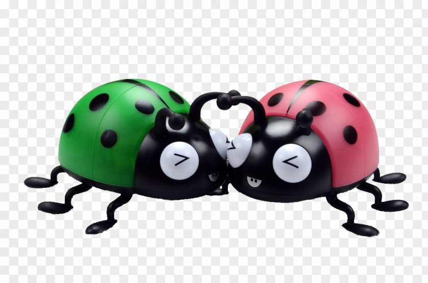 Cute Ladybug Who Ladybird Insect Pink PNG