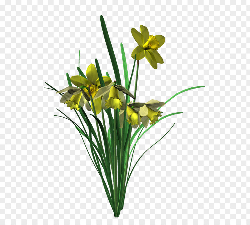 Flower Cut Flowers HTML5 Video Floral Design File Format PNG