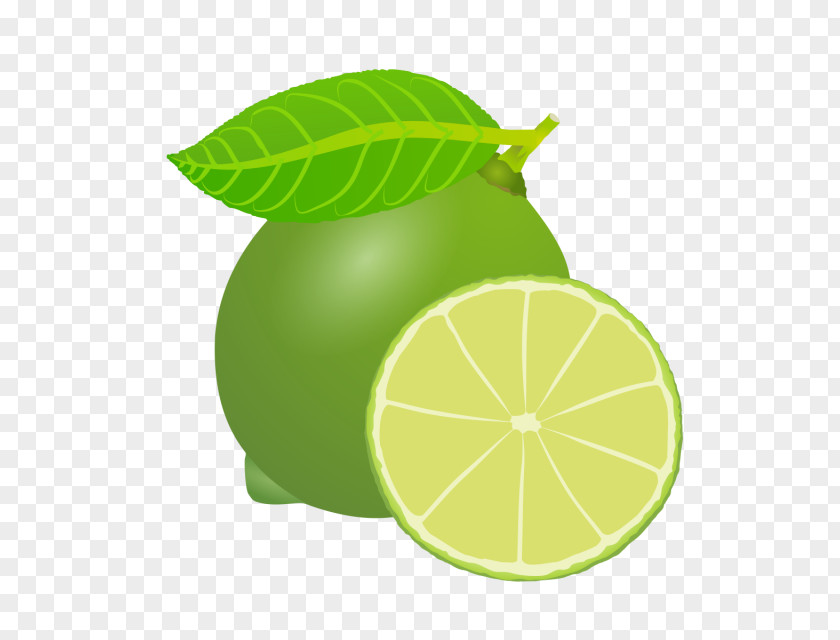 Lemon Persian Lime Sweet Key PNG