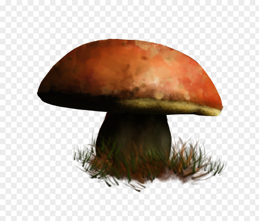 Mushroom Edible Food Hot Pot Fungus PNG