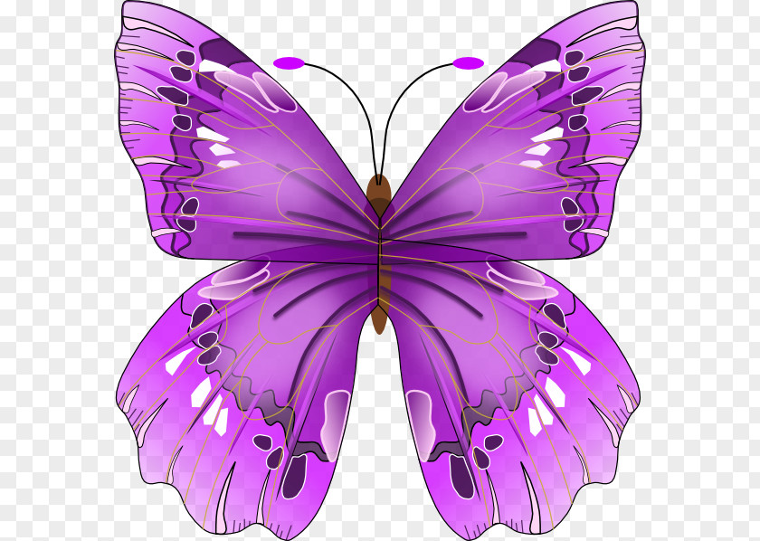Pink Butterfly Insect Craft Magnets Clip Art PNG