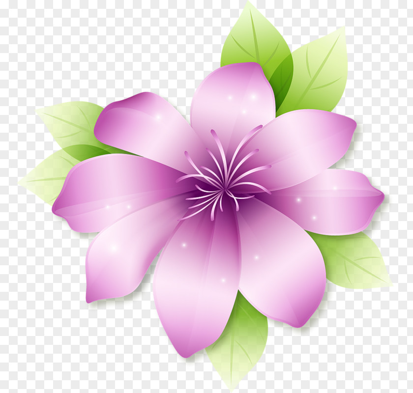 Pink Flower Border Flowers Clip Art PNG