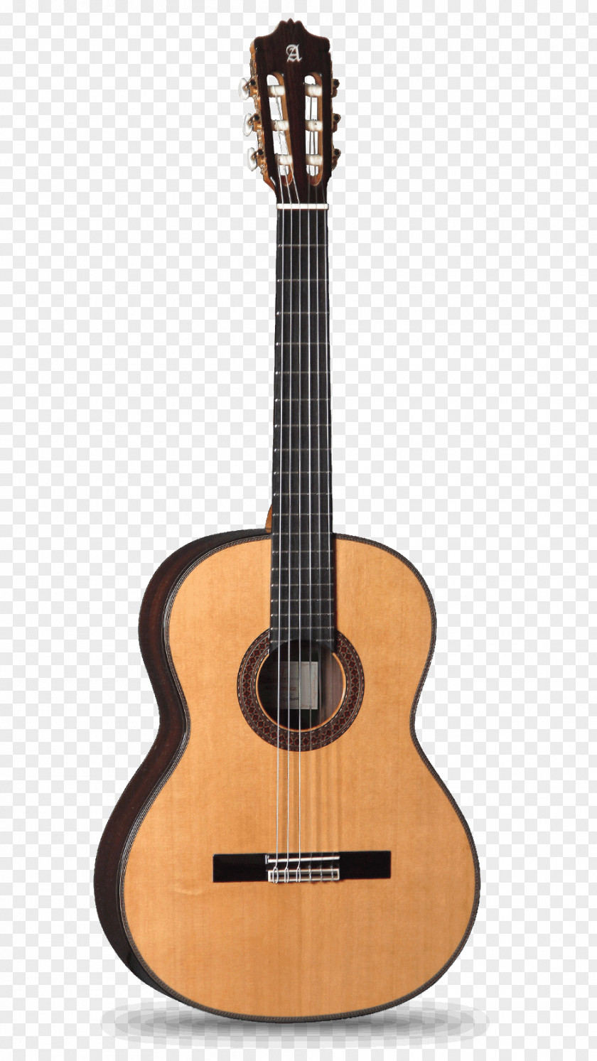Acoustic Guitar Alhambra Classical Flamenco Musical Instruments PNG