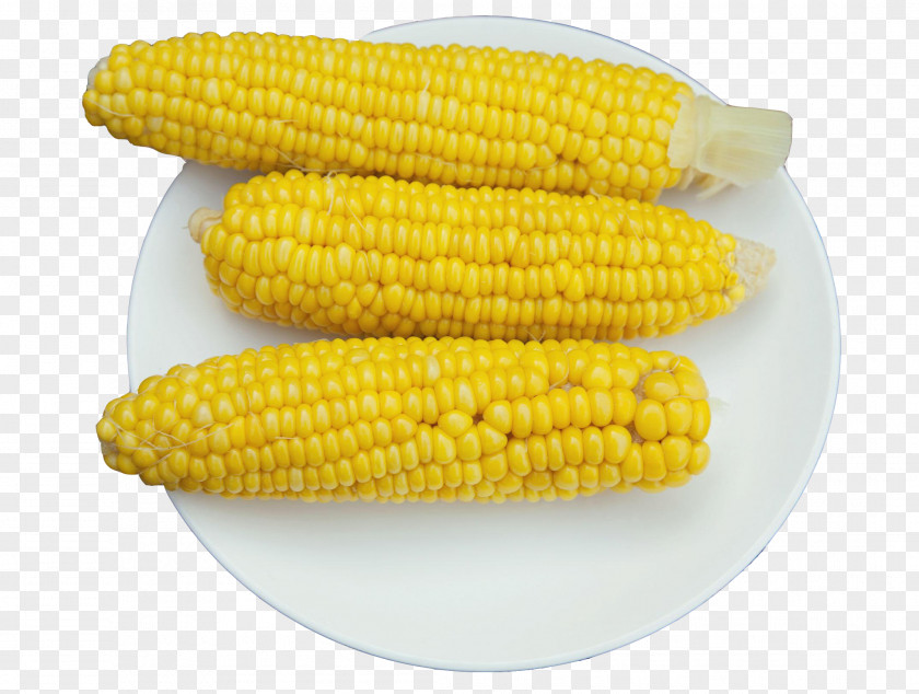 Article Corn On The Cob Maize PNG