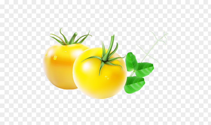 Cartoon Tomatoes Tomato Sauce PNG