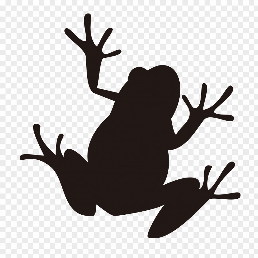 Frog Silhouette Illustration Image Amphibians PNG