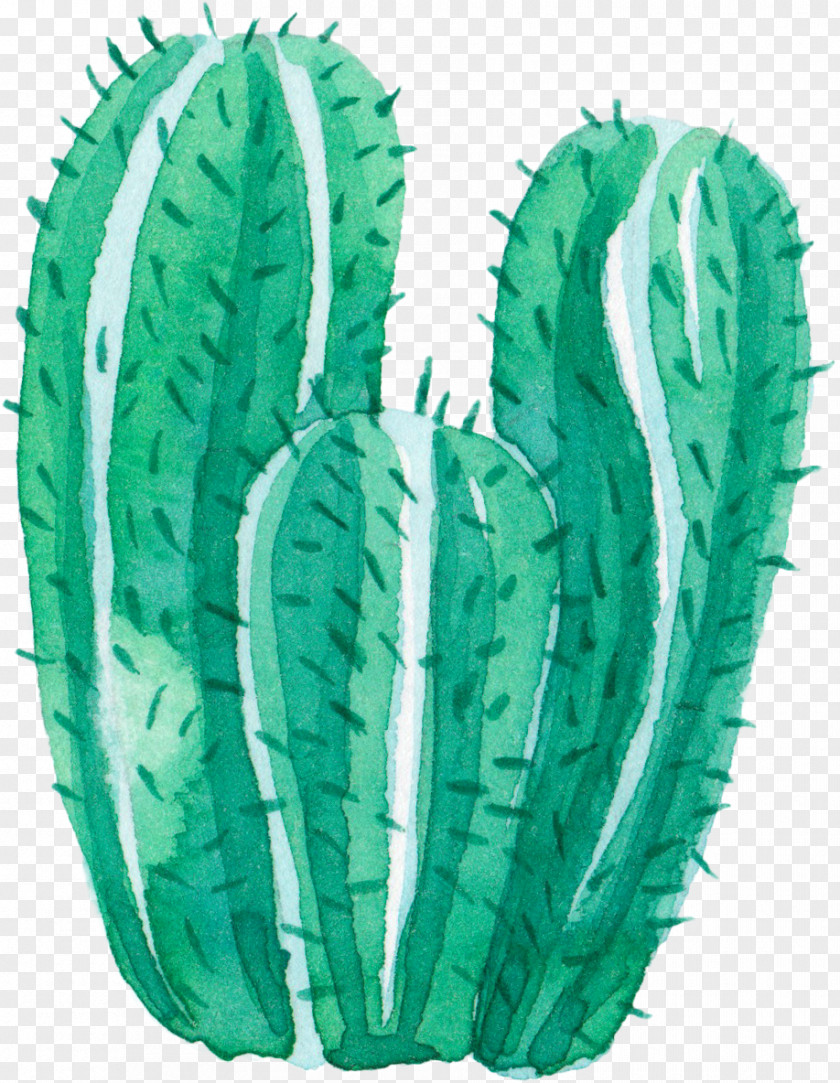 Green Hand Painted Creative Cactus Cactaceae Watercolor Painting Leaf PNG
