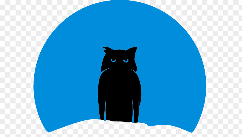 Night Owl Whiskers Cat Snout Illustration Felicia Hardy PNG