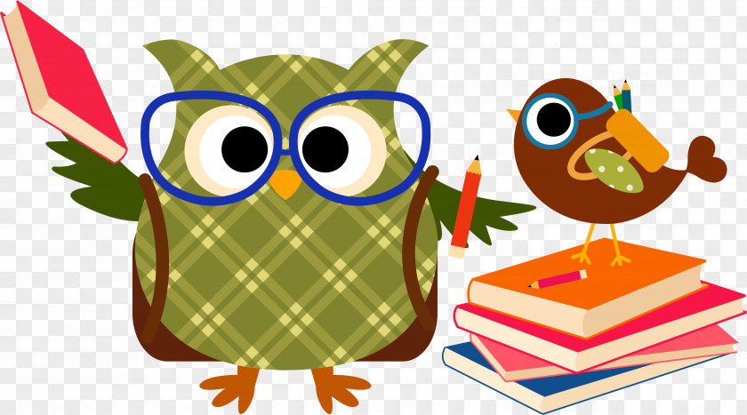 Owls Bimestral School First Grade Teacher Learning PNG
