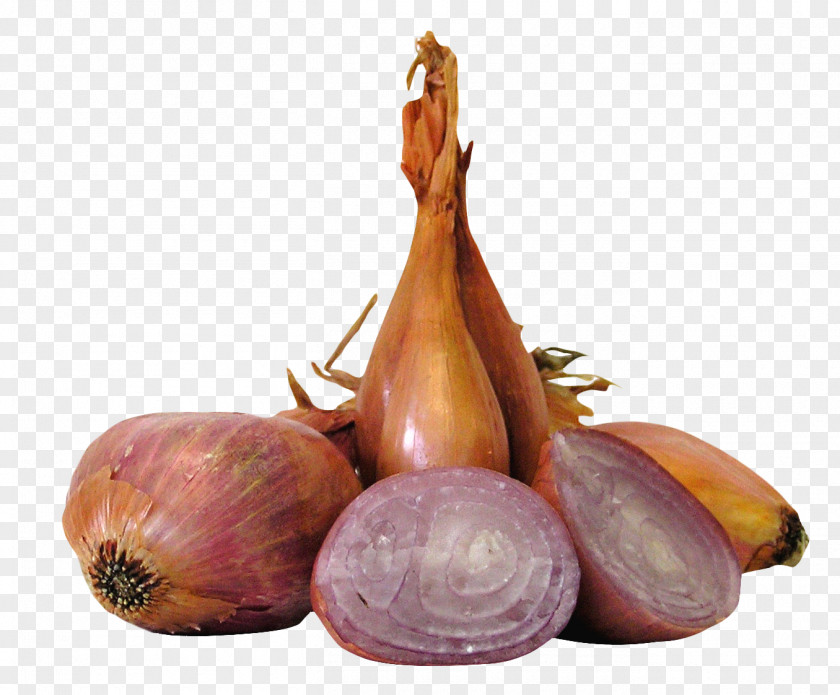 Shallot Onions Vegetable Allium Fistulosum Yellow Onion PNG