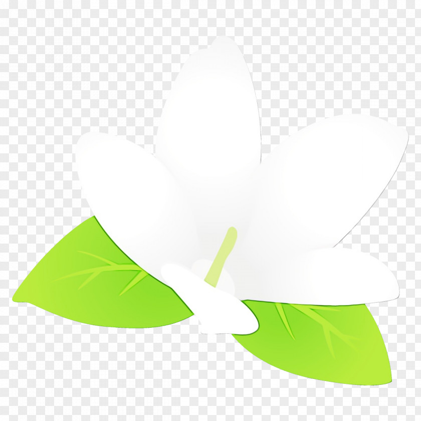 Tree Logo Green Leaf White Plant PNG