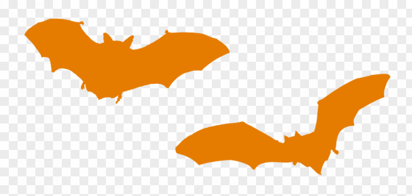 Bat Clip Art PNG