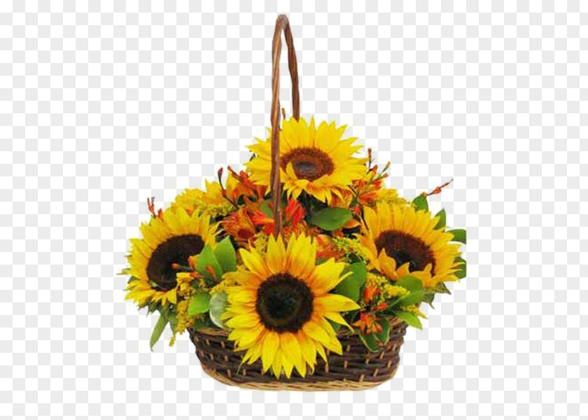 Flower Common Sunflower Floral Design Floristry Basket PNG