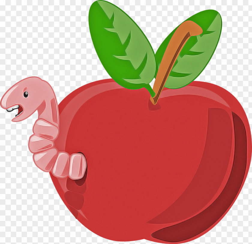 Food Tree Leaf Apple Fruit Red Plant PNG