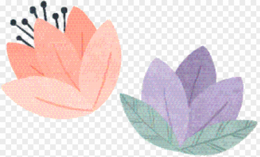Perennial Plant Herbaceous Pink Flower Cartoon PNG