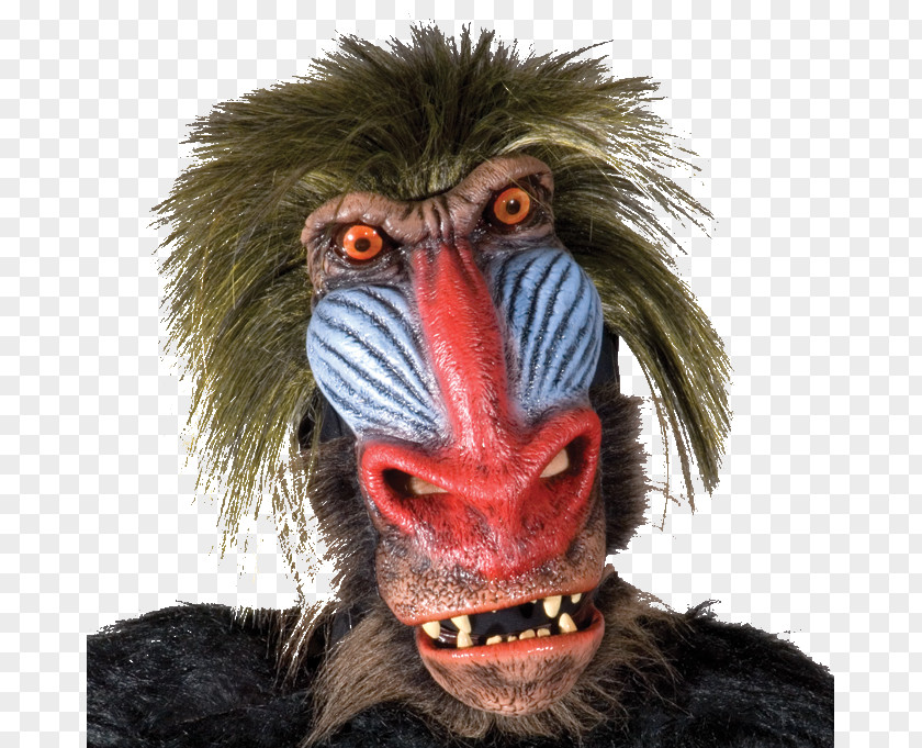 Rug Cleaning Funny Old World Monkeys Mandrill Mask Ape Primate PNG